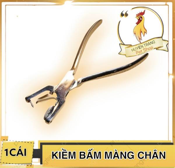 Kiềm mỹ bấm màn chân đánh dấu bổn bang gà