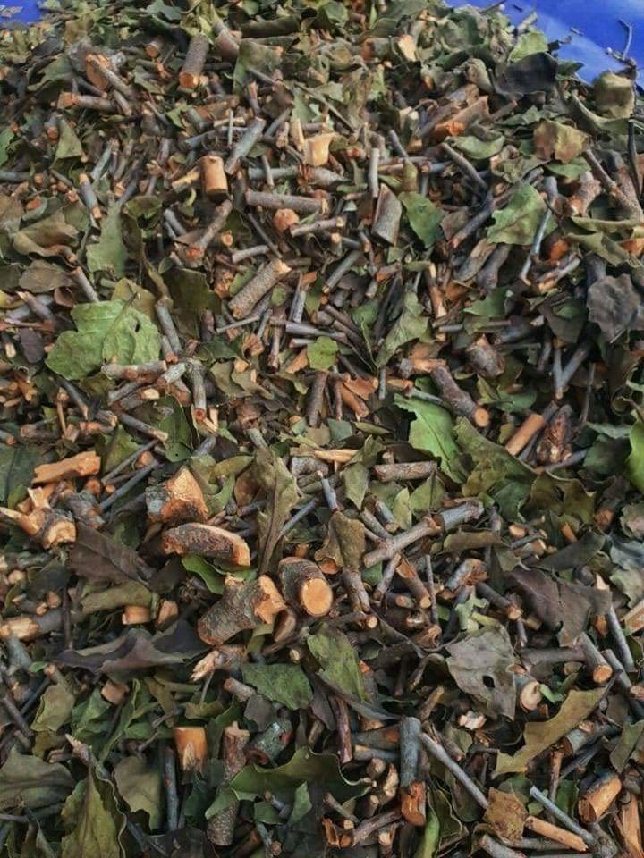 Cây tầm gửi gạo khô 1kg