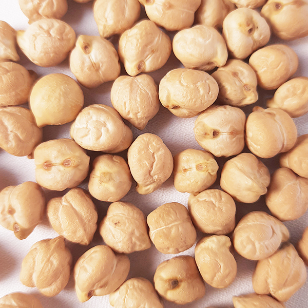 Đậu Gà Mỹ, Đậu Răng Ngựa, Đậu Chickpeas túi 1 kg