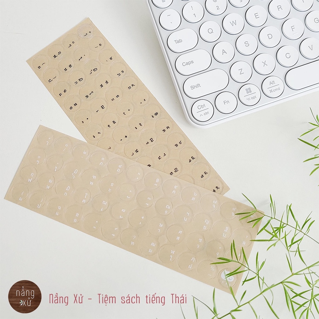 https://vn-live-01.slatic.net/p/ddaa713d7ffdc64917e77d078df75c67.jpg