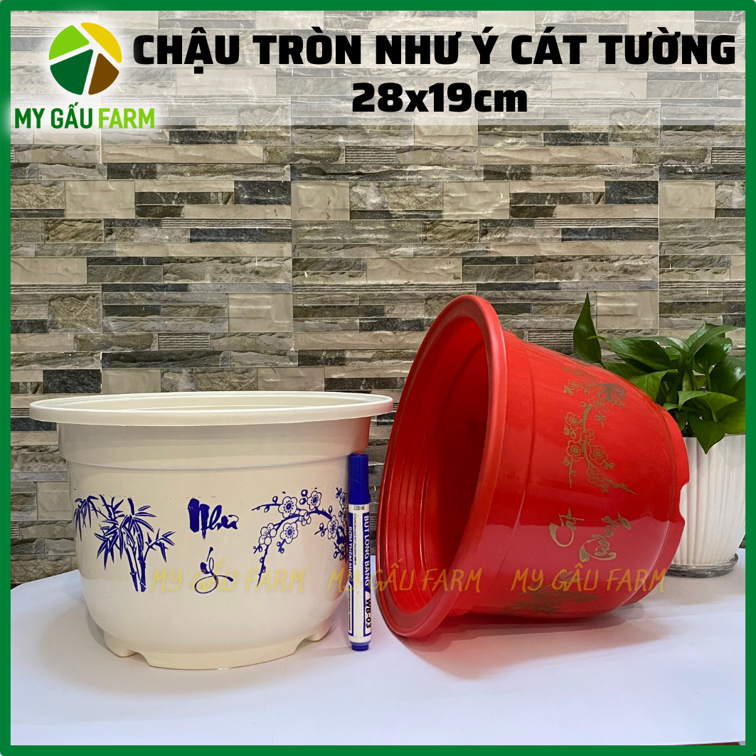 Chậu nhựa tròn trắng xanh, đỏ vàng, như ý cát tường size 25-16cm, 28-19cm, size 32-21 cm, size 36-23cm - thakico - chậu nhựa trồng kiểng, cây cảnh, hoa