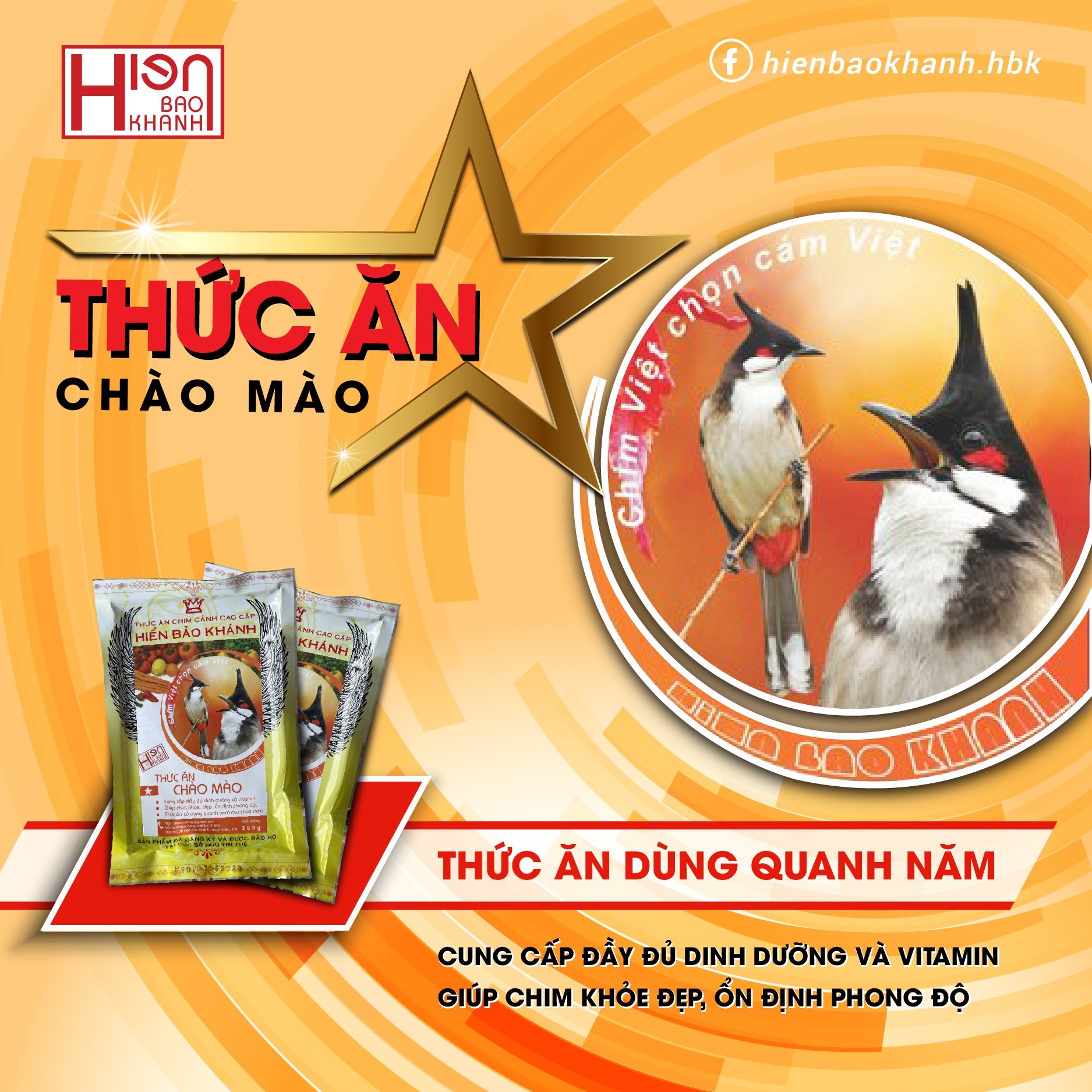 Cám chim chào mào số 1 hiển bảo khánh