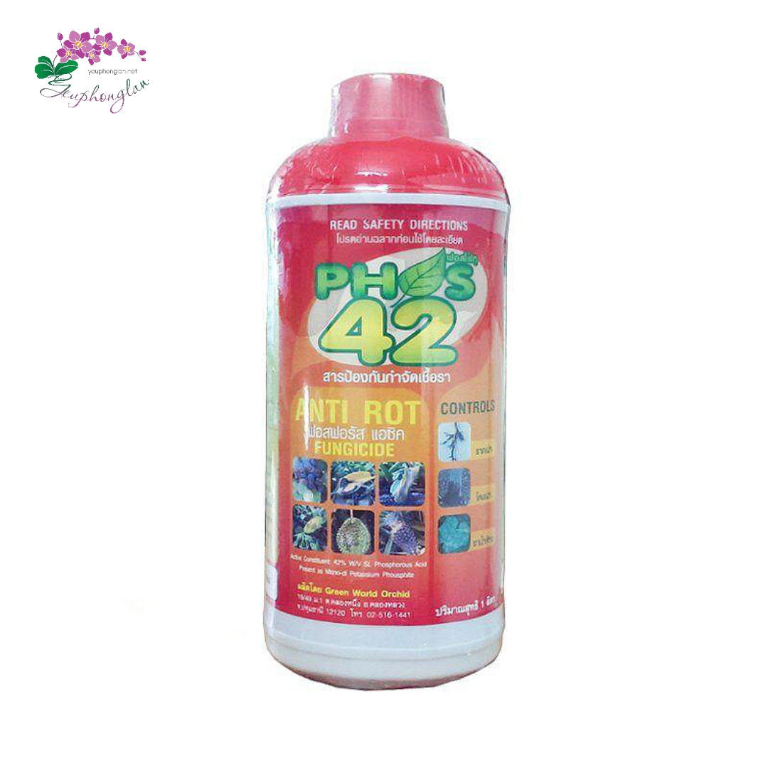 PHS 42 Chống thối nhũn Lan và kiểng lá - Thái lan 1 lít, không màu, không mùi