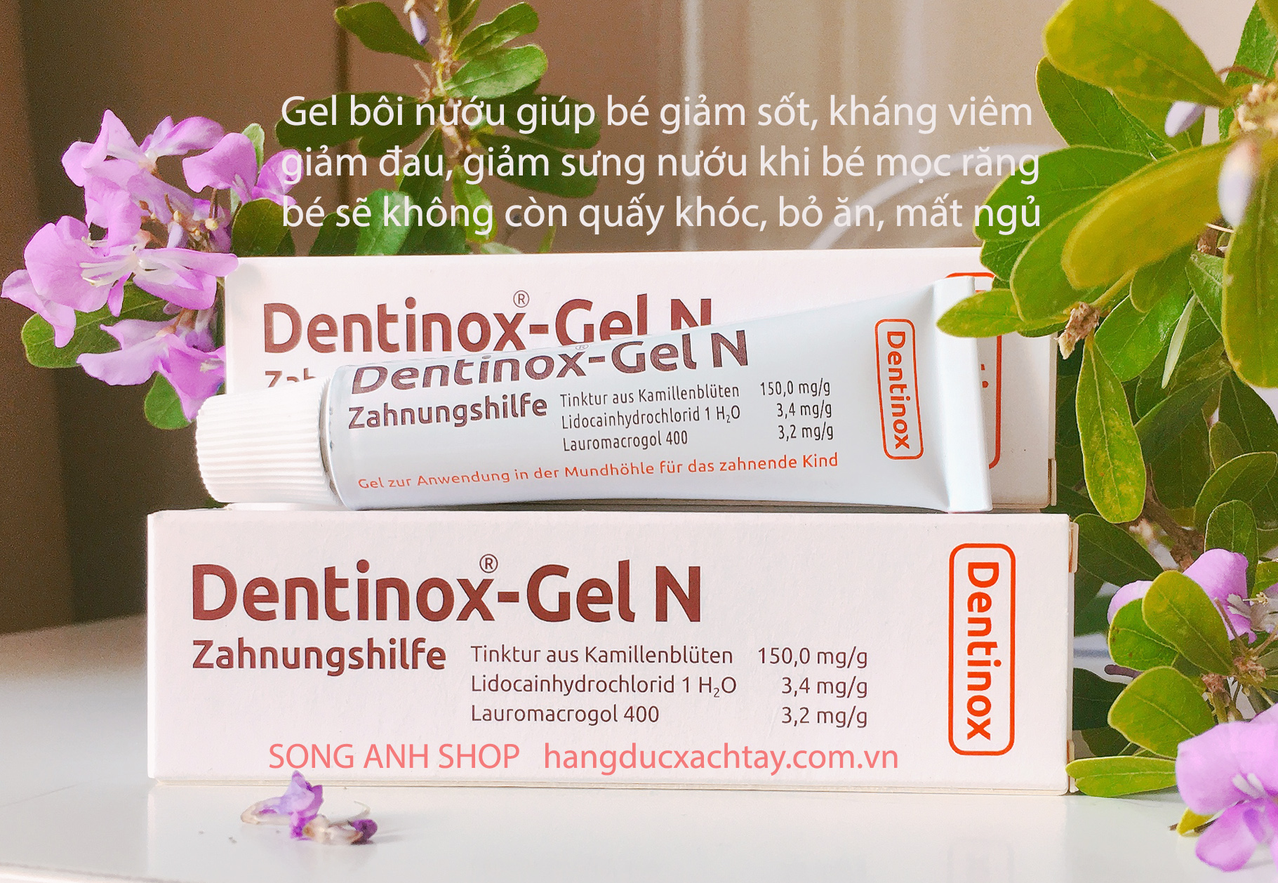 Gel Bôi nướu (lợi) Giảm Đau sốt Khi Bé Mọc Răng Dentinox Gel N