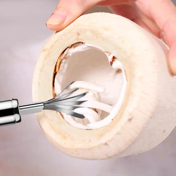 Dụng cụ đánh vẩy cá , nào dừa chát liệu INOX giúp bà nội  trợ nhẹ nhàng hơn trong việc đánh vẩy cá và nạo dừa