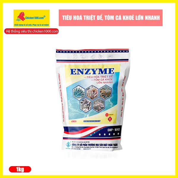 Men tiêu hoá cho cá enzyme chicken1000 hỗ trợ tiêu hoá, chống bệnh đường ruột