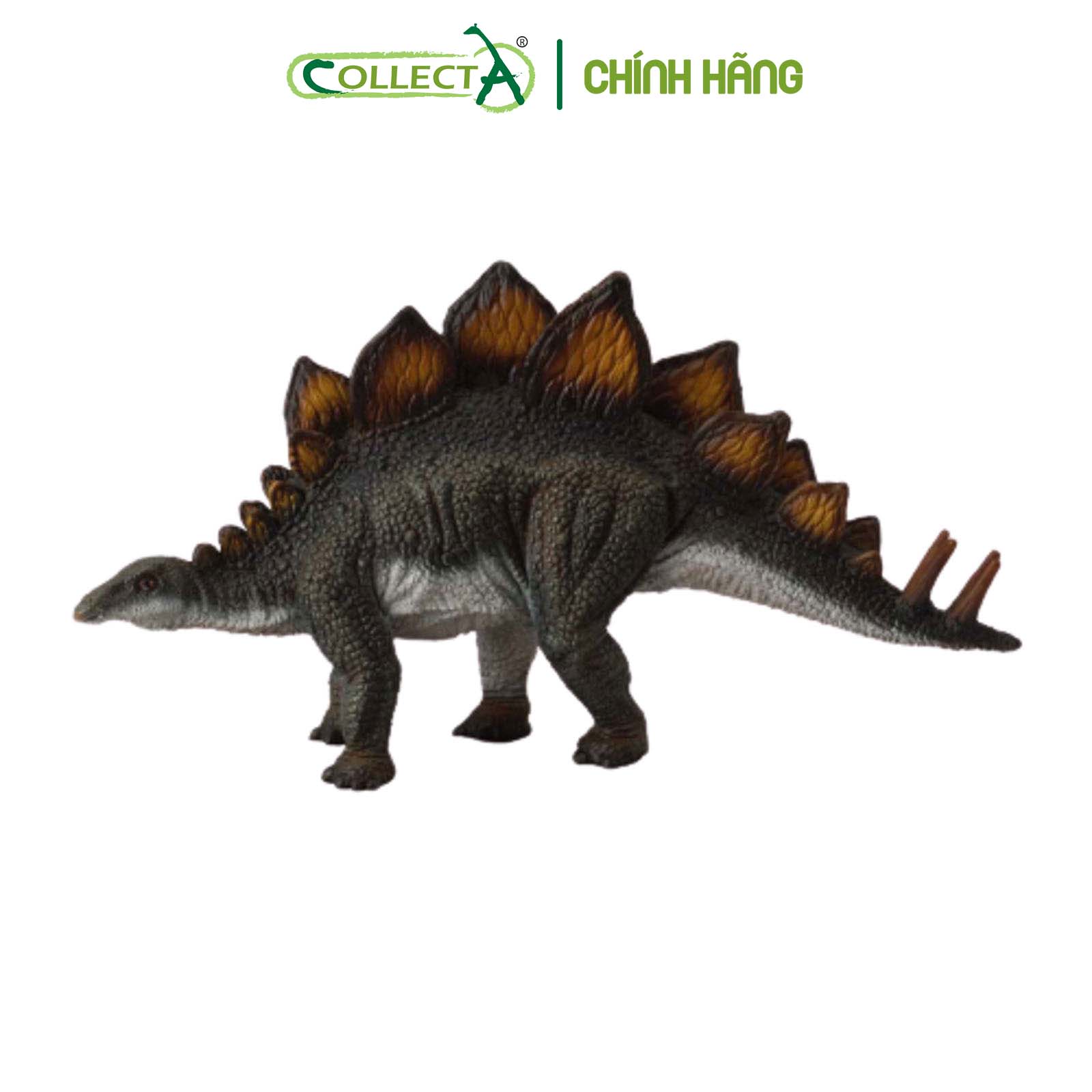 Đồ chơi mô hình động vật CollectA Khủng Long Stegosaurus - Stegosaurus