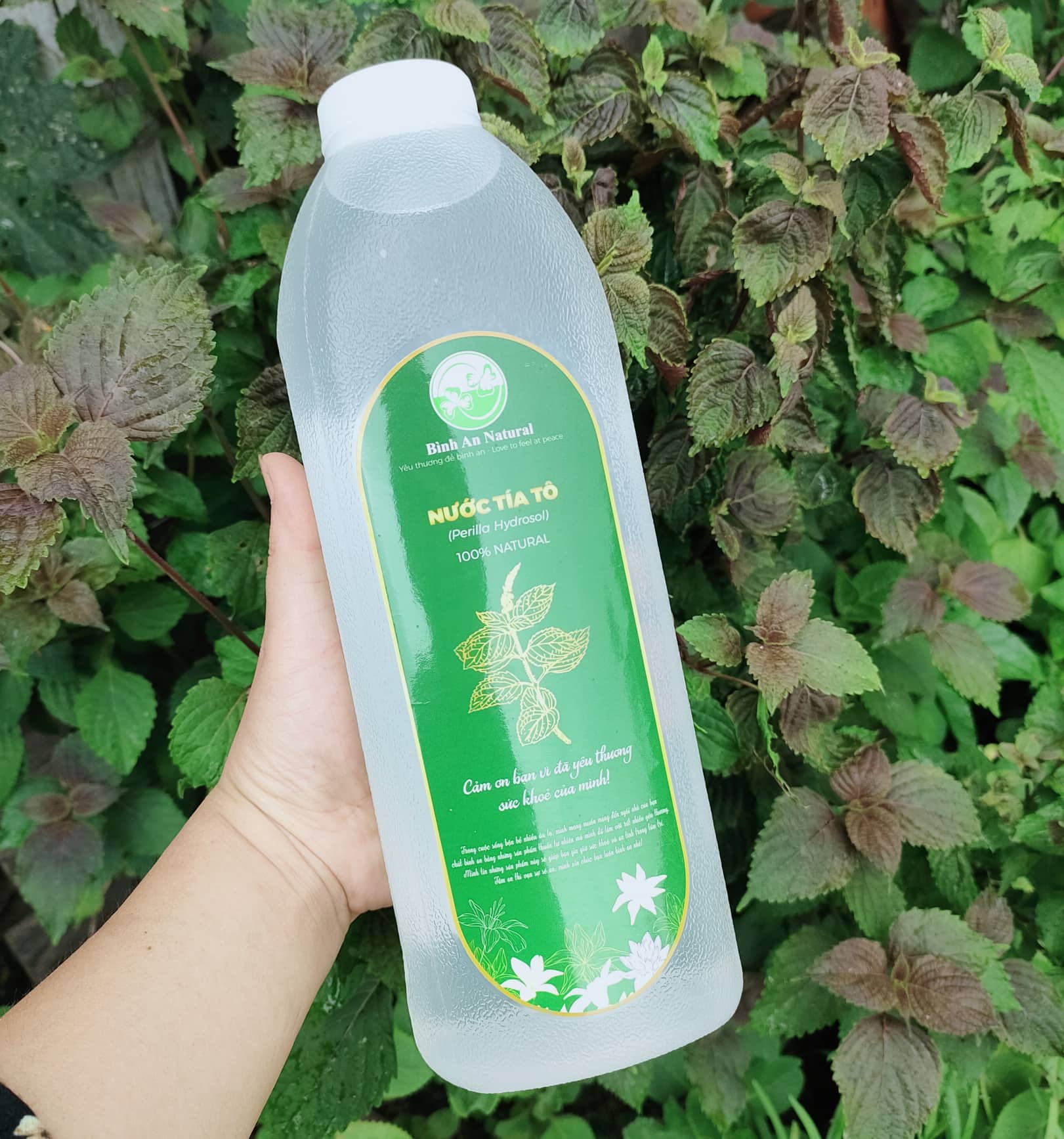 1 lít nước cất tía tô - tặng 100ml nước cất trầu