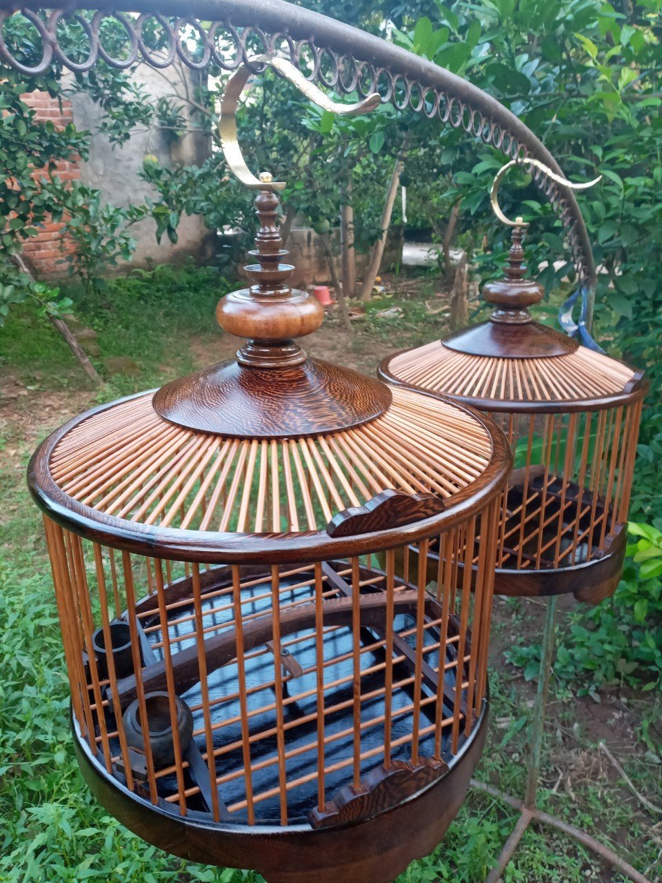 Lồng cu gáy gỗ mun đuôi công kết hợp nan tre già cực đẹp, siêu rẻ