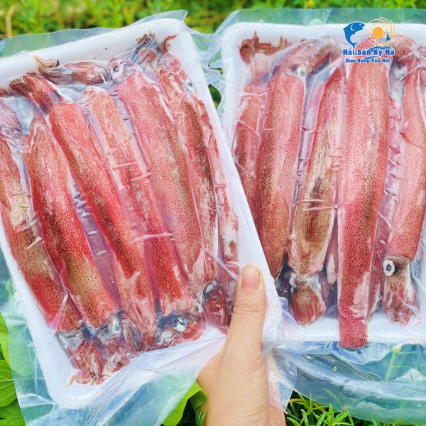 Giá sỉ 1kg mực ghim trứng 12up
