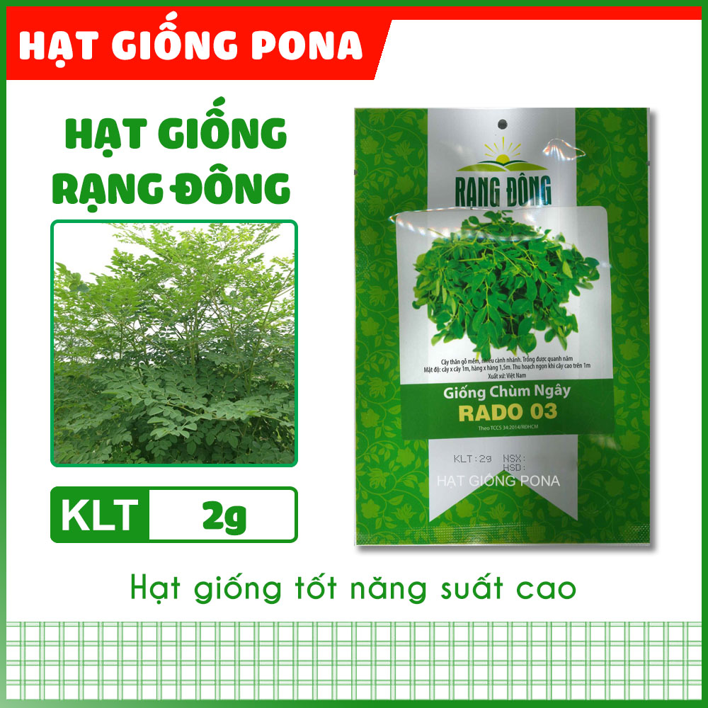 Hạt giống chùm ngây rado 03 - hạt giống rạng đông