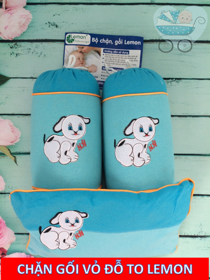 Gối chặn vỏ đỗ tâm an