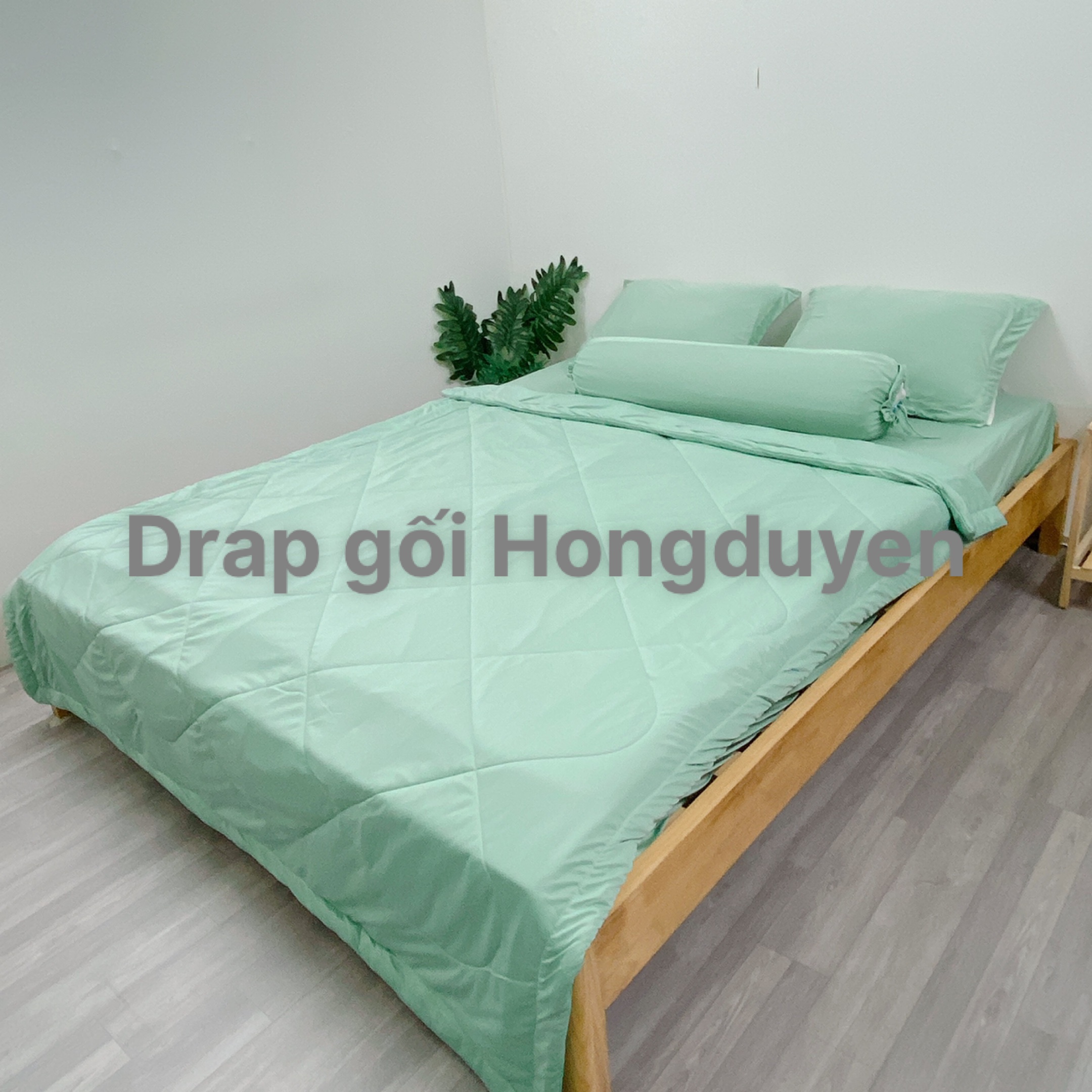 Bộ drap/ga/ra thun trơn màu xanh matcha 1m6/1m8 ko mền/có mền . bộ drap thun. bộ ra thun. bộ grap thun. ga giường - drap giường - ra giường - grap giường.