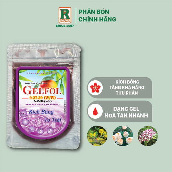 Phân bón PK GELFOL 0-45-50 ra hoa đồng loạt, tỉ lệ đậu hoa trái cao, hạn chế rụng trái non dạng gel đậm đặc (100GR & 500GR)