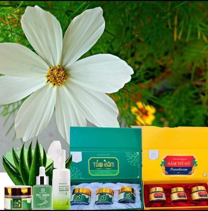 COMBO ĐẸP DA CAO CẤP RIC SKIN TẢO SÂM