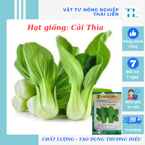 Hạt giống rau cải thìa, hàng công ty Thuận Điền