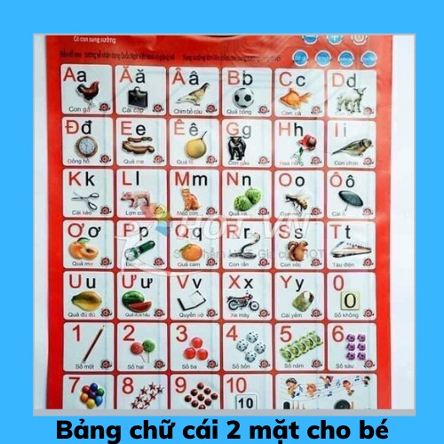 Bảng Chữ Cái, Chữ Tiếng Việt 2 Mặt Tự Động Biết Nói Treo Tường