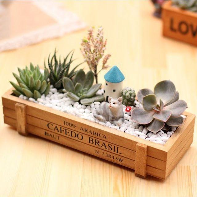 Chậu gỗ trồng cây Cafedo