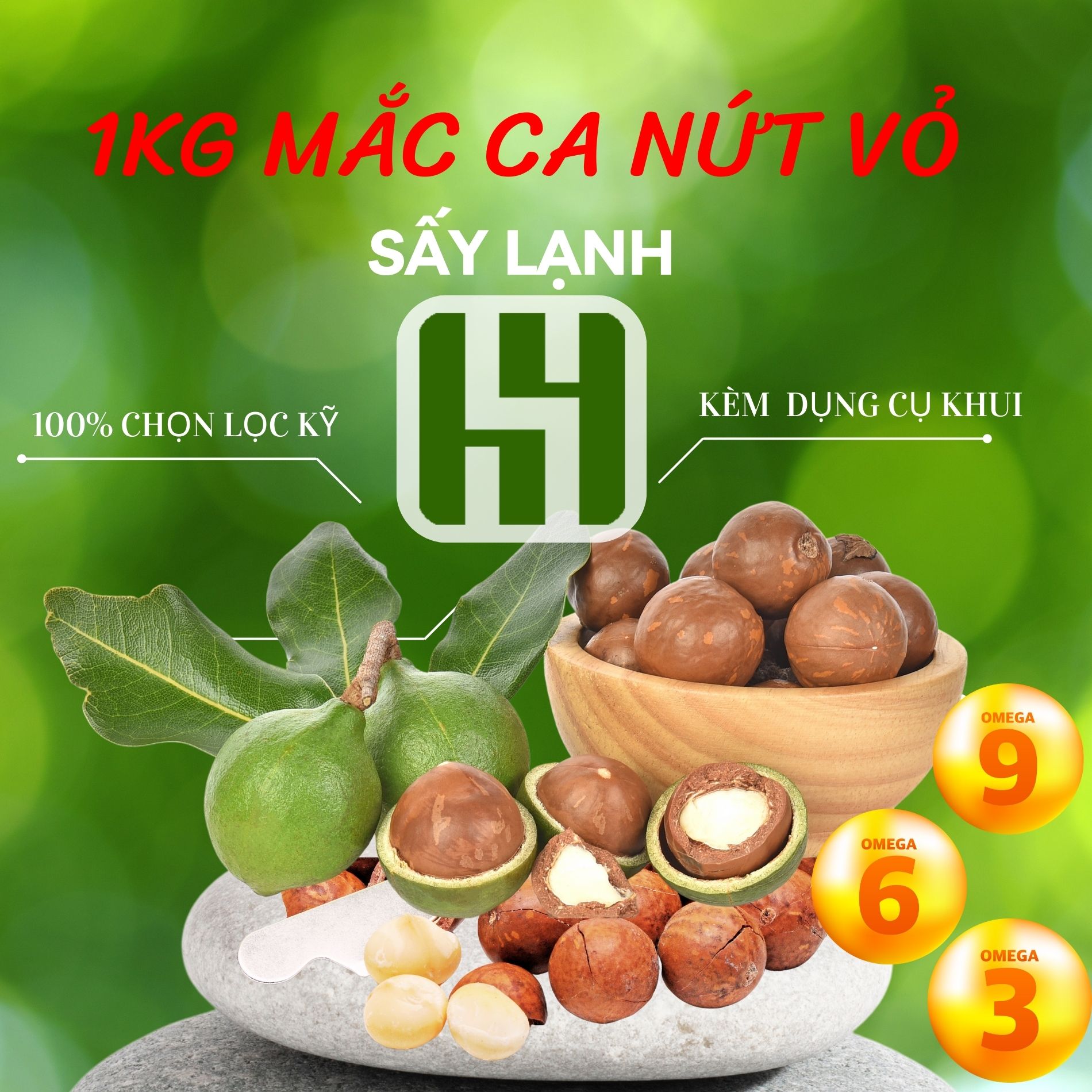 1KG Mắc ca Đắk Lắk nứt vỏ sấy lạnh thăng hoa chọn lọc nhiều dinh dưỡng tốt cho mẹ bầu và em bé hạt mác ca khai thác tươi mới - mắc ca đắc lắc - Mắc Ca Họ Hồ - 2 túi 500g