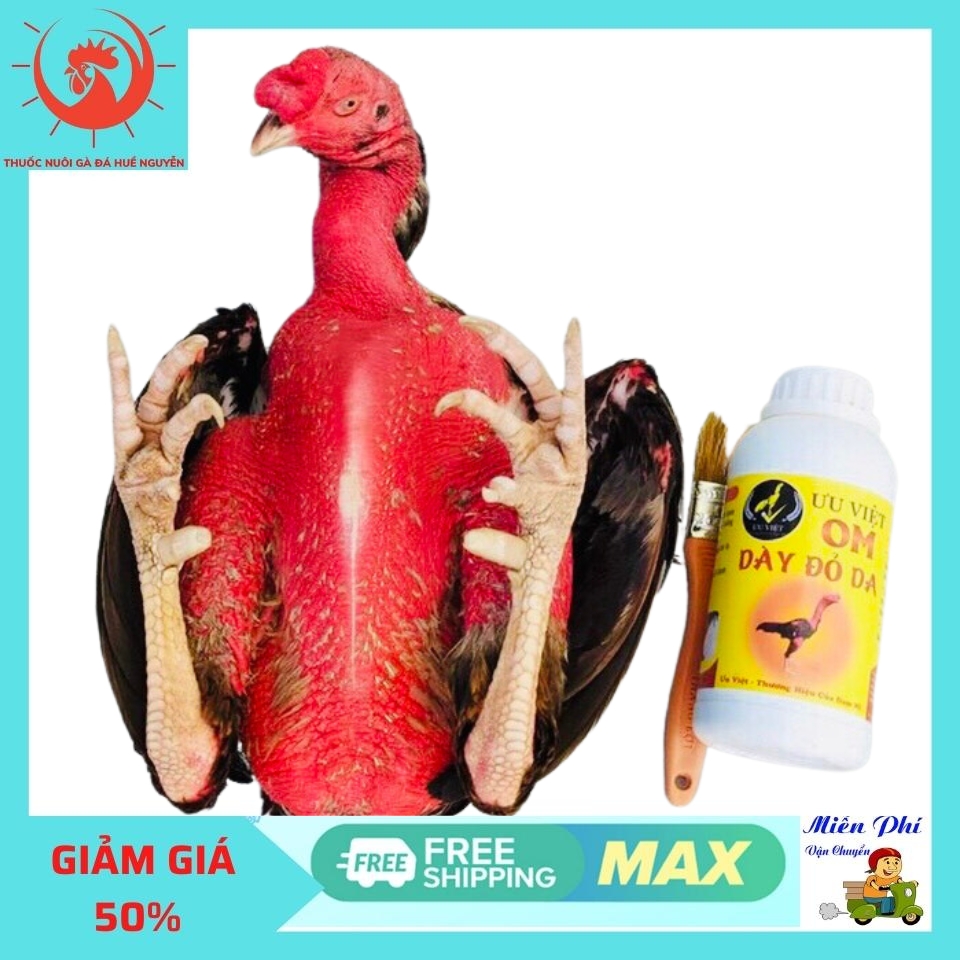 Om Dày Đỏ Da Ưu Việt pha sẵn cho gà đá, giúp da săn chắc, đỏ da, phụ kiện gà chọi