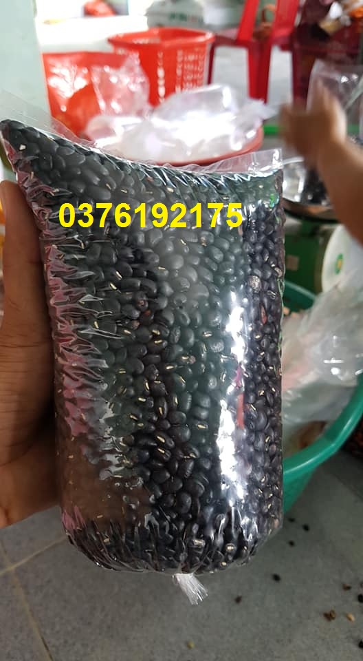 Đậu đen xanh lòng nhà trồng
