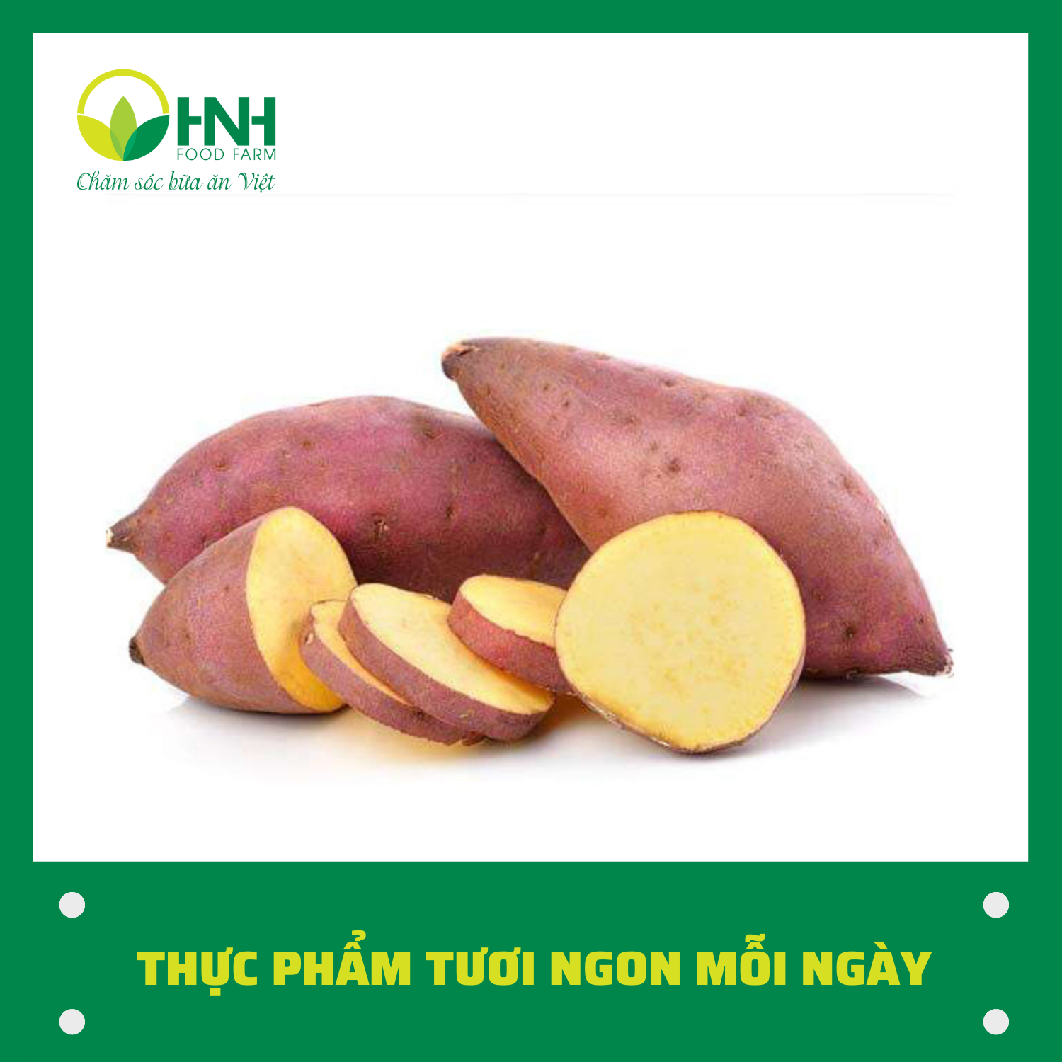 [GIAO HỎA TỐC HÀ NỘI] Khoai lang Nhật cực ngon - HNH Food Farm