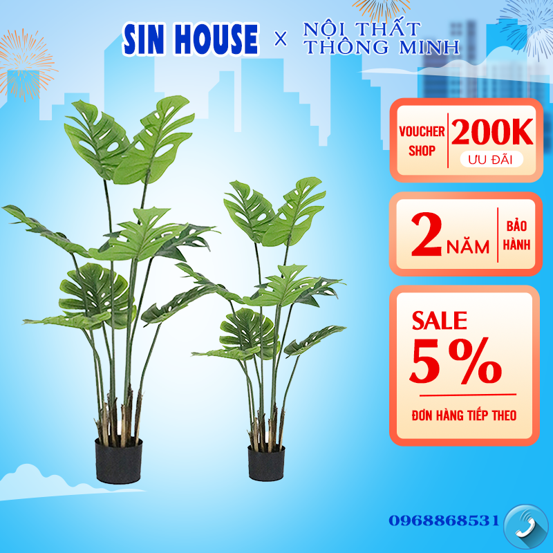 Cây giả trang trí, cây chầu bà giả trang trí như cây thật, cây mai rùa decor phòng tiết kiệm chi phí