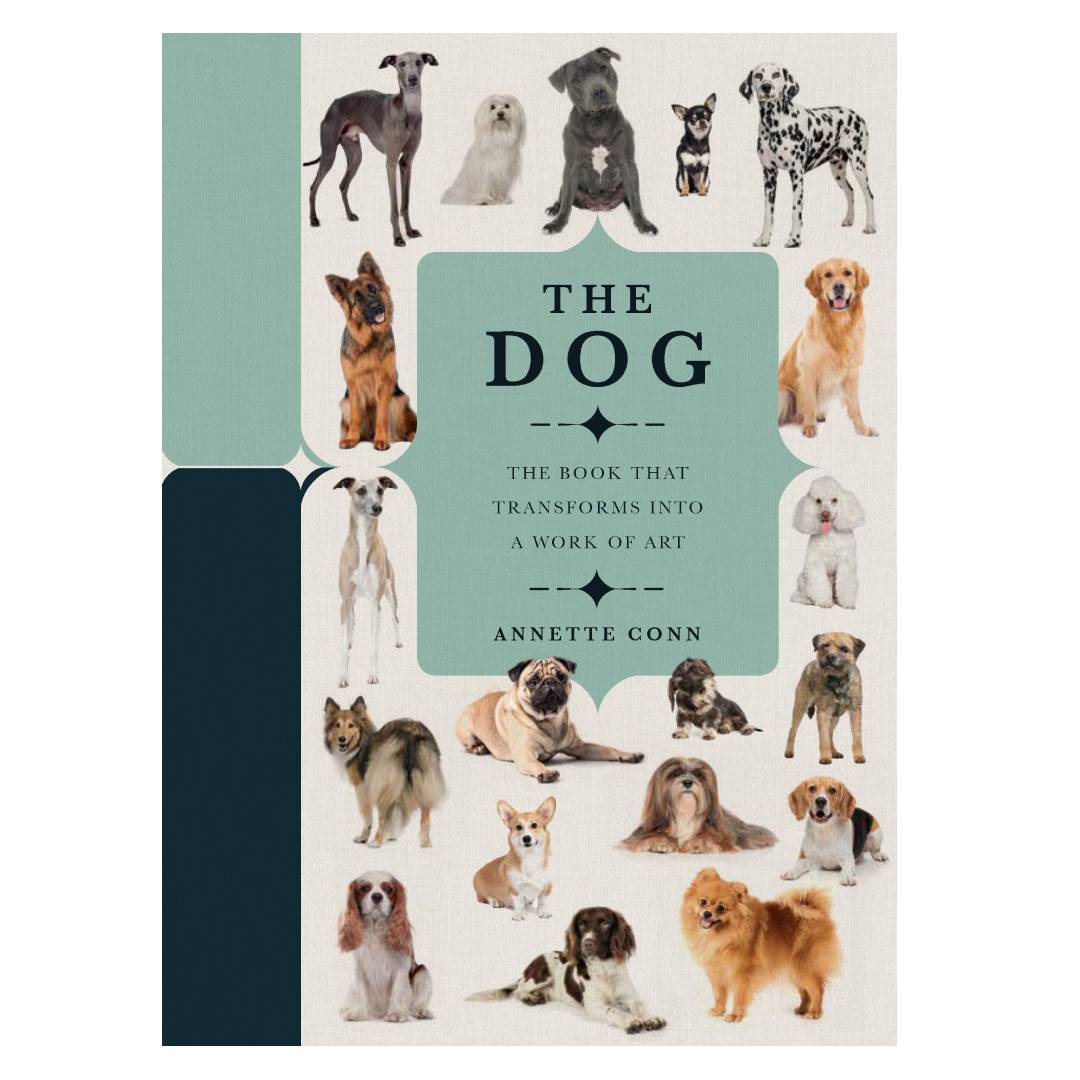 Artbook - Sách Tiếng Anh - Paperscapes: The Dog: A Book That Transforms Into a Work of Art