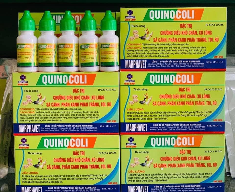 Quinocoli phân xanh, trắng cho gà đá 1 lọ 10ml