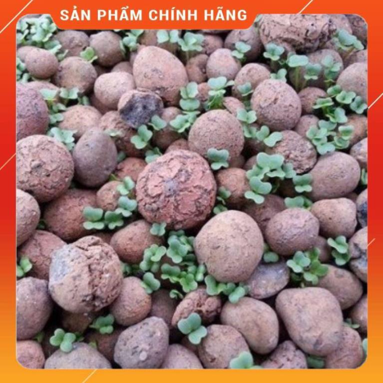 1kg đất nung dùng để trồng cây