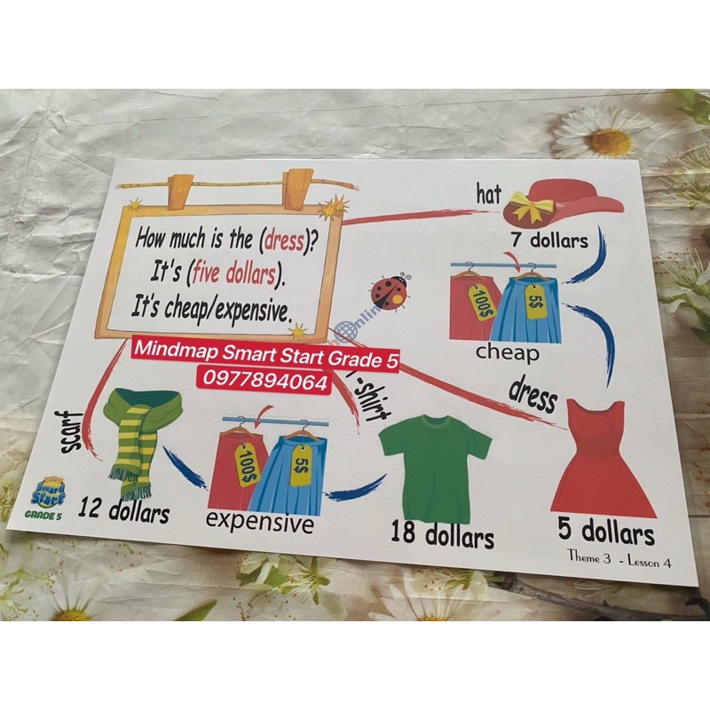 Mindmap luyện nói TIếng Anh lớp 5- Smart Start Grade 5- Tranh A3 ép plastic bền đẹp