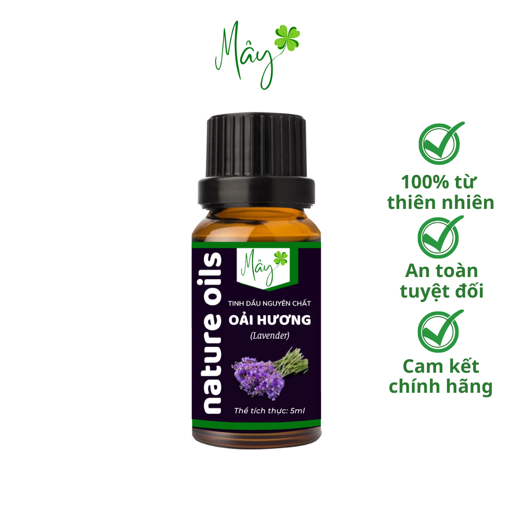 Tinh dầu Oải Hương thiên nhiên nguyên chất 10ml - 50ml, có kiểm định, thương hiệu Tinh Dầu Mây