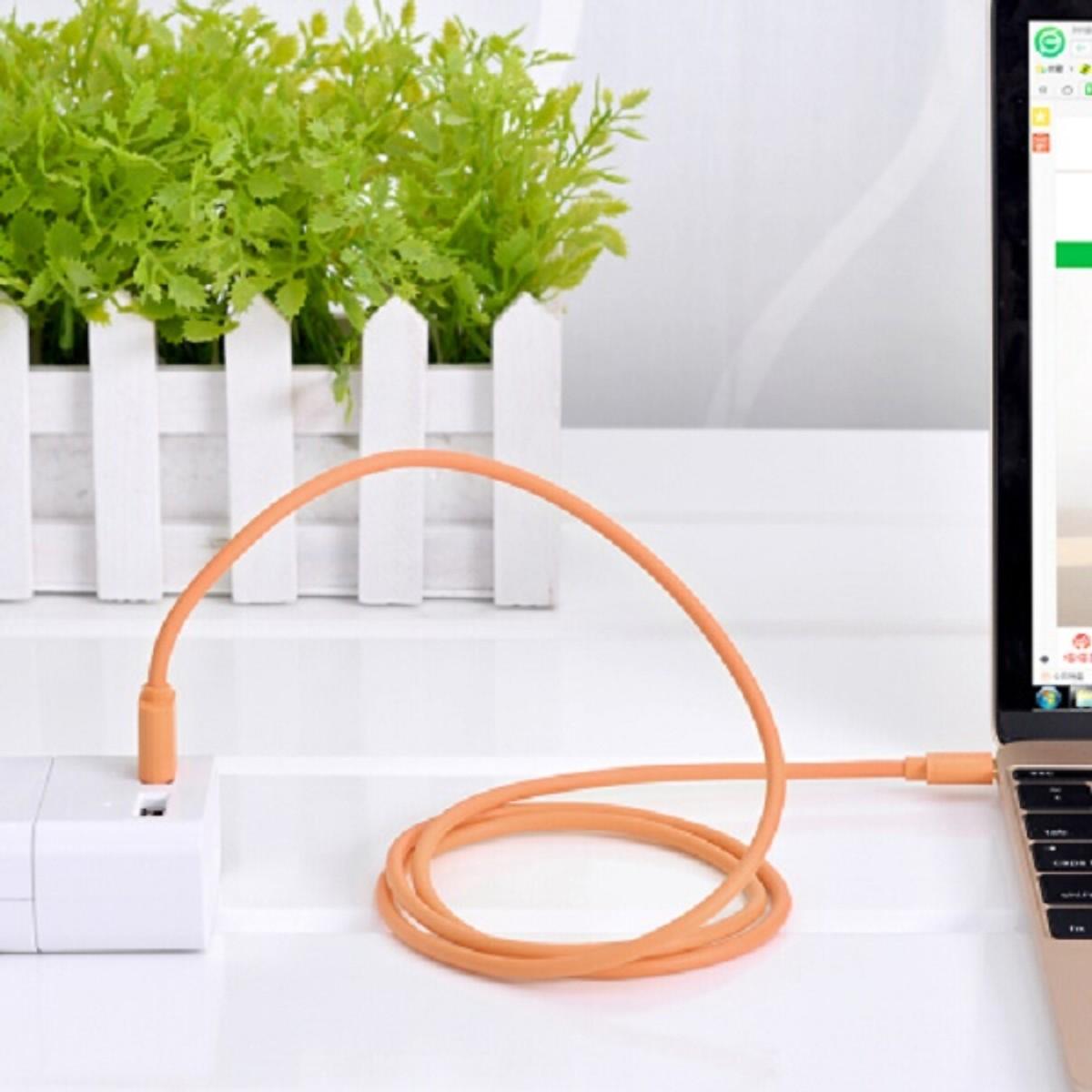 Cáp usb type c ugreen us141 - cam