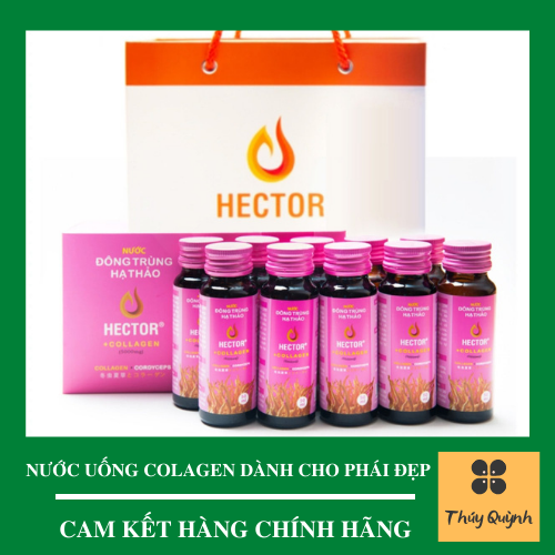 Nước uống đông trùng hạ thảo hector collagen