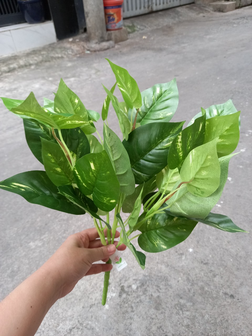 1 Bụi lá trầu bà giả 5 nhánh - Hoa giả - Hương Flower