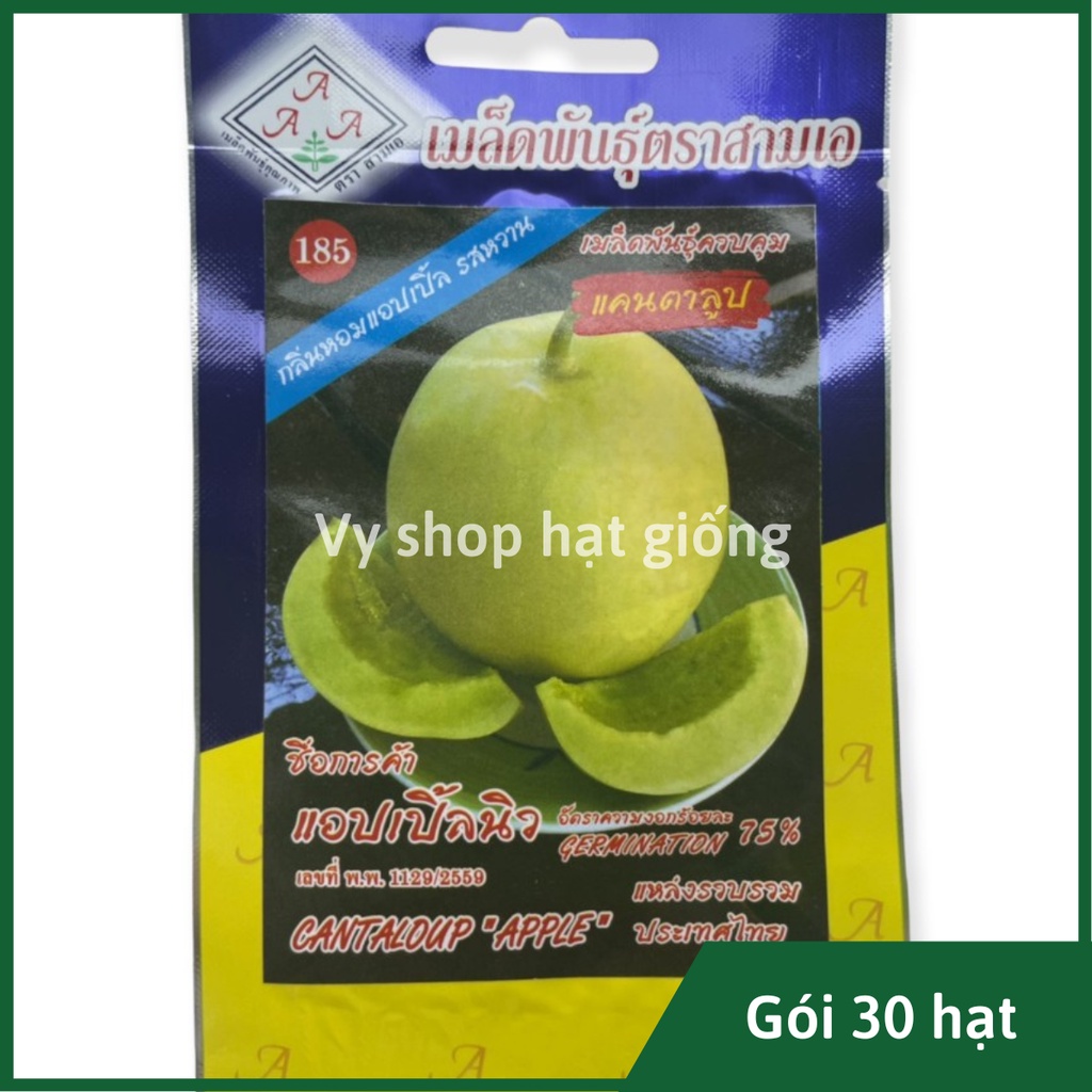 Hạt giống dưa lê táo xanh siêu ngọt Thái Lan gói 30 hạt