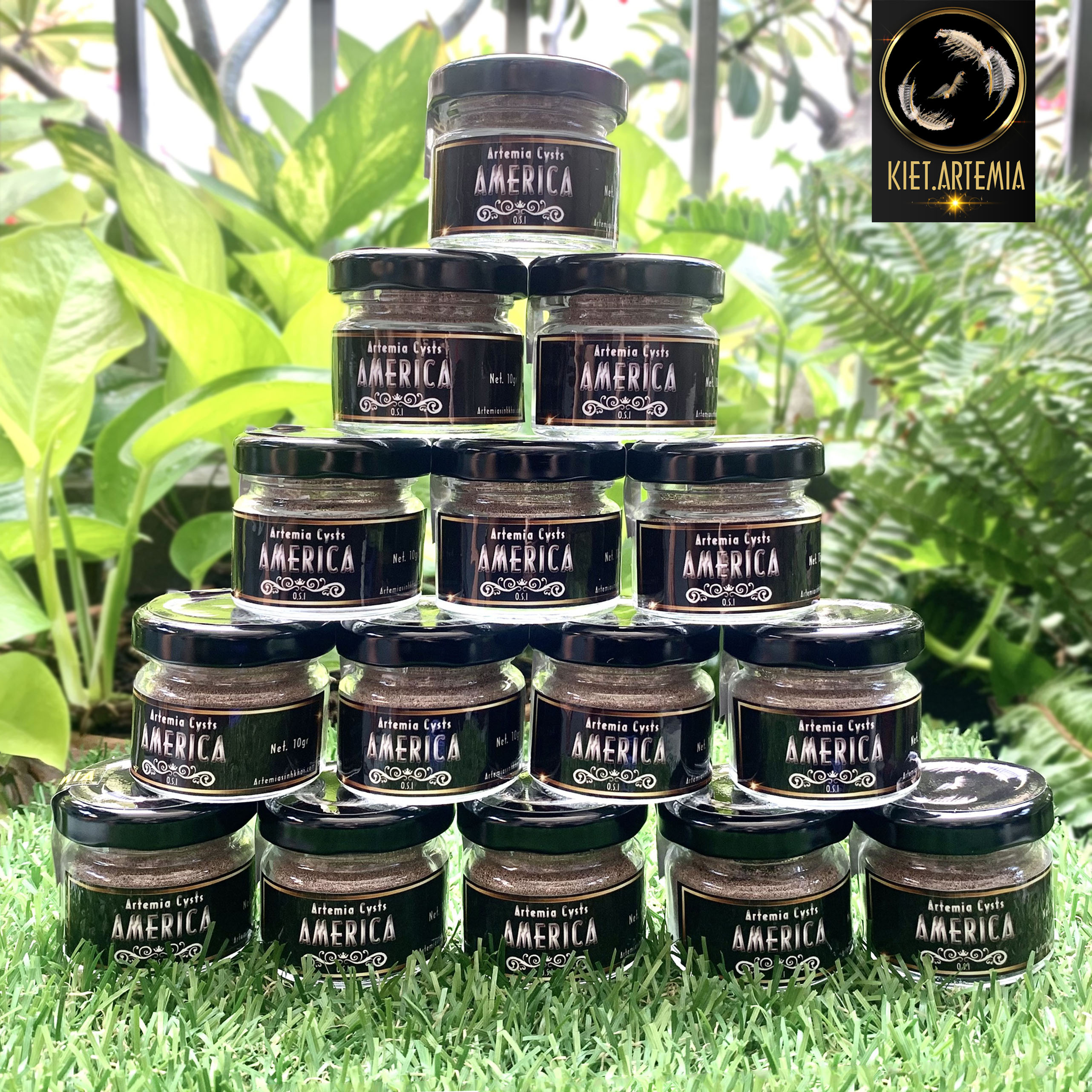 Trứng Artemia Mỹ Chất Lượng Quốc Tế 10g