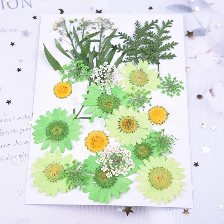 [HCM]Set Hoa Khô Makeup Phụ Kiện Trang Điểm Cosplay Phong Cách Tiểu Thư Mộng Mơ - Vani Store