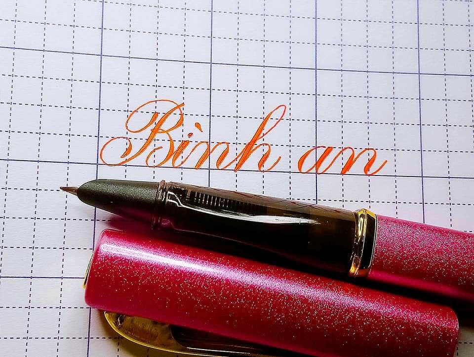 Bút Leta 365 (ngòi lá tre, thanh đậm tốt, ko gỉ, ko kén mực)