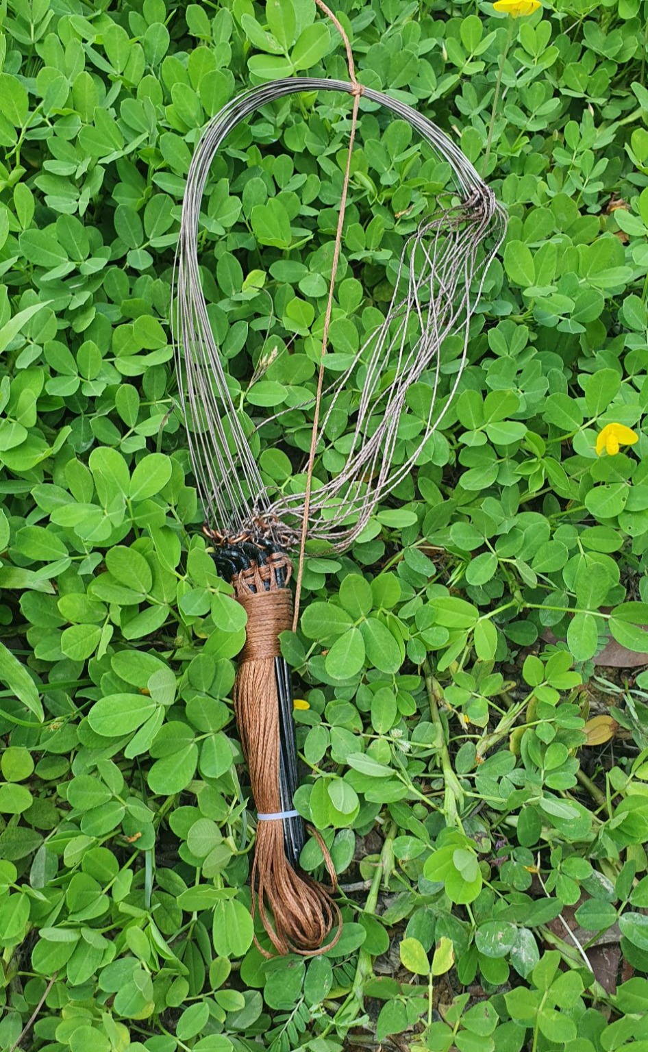 1 Bộ Giò Bẫy Gà Rừng 20 Chân 79K Màu Cỏ Khô