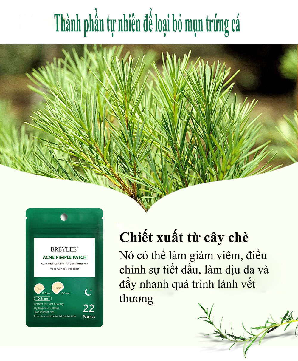 BREYLEE Miếng Dán Tri Mụn Đầu Đen Tri Thâm Mụn Trứng Cá Lột Mụn Đậu Đen Làm Mờ Vết Thâm Do Mụn (Dùng Cho Buổi Tối) FACIAL MASK 22 PATCHES NIGHT USE ACNE PIMPLE PATCH 6