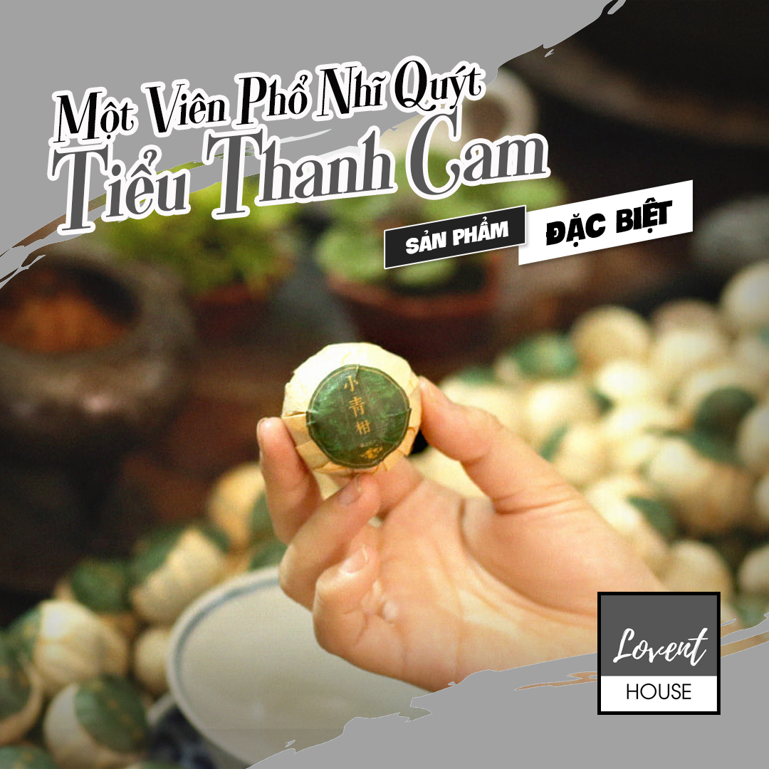 Một viên phổ nhĩ quýt tiểu thanh cam - vị trà phổ nhĩ pha lẫn tinh dầu quýt thanh the tuyệt hảo