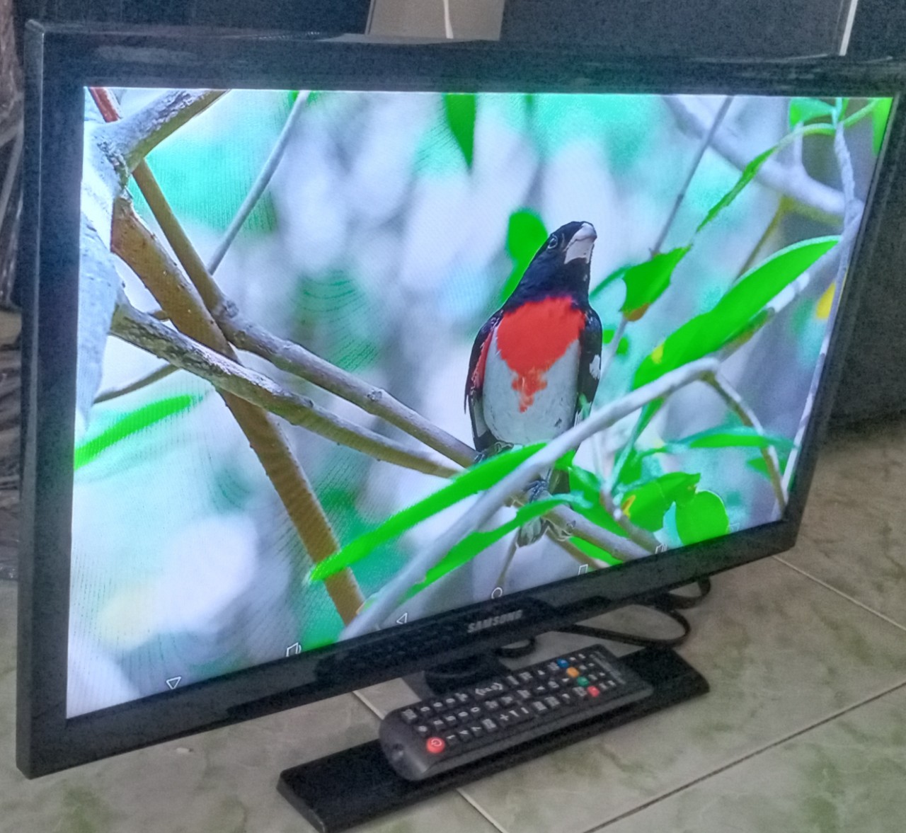 Tivi Siêu mỏng Samsung 24" bền đẹp, hình ảnh sắc Nét ảnh thực do shop chụp