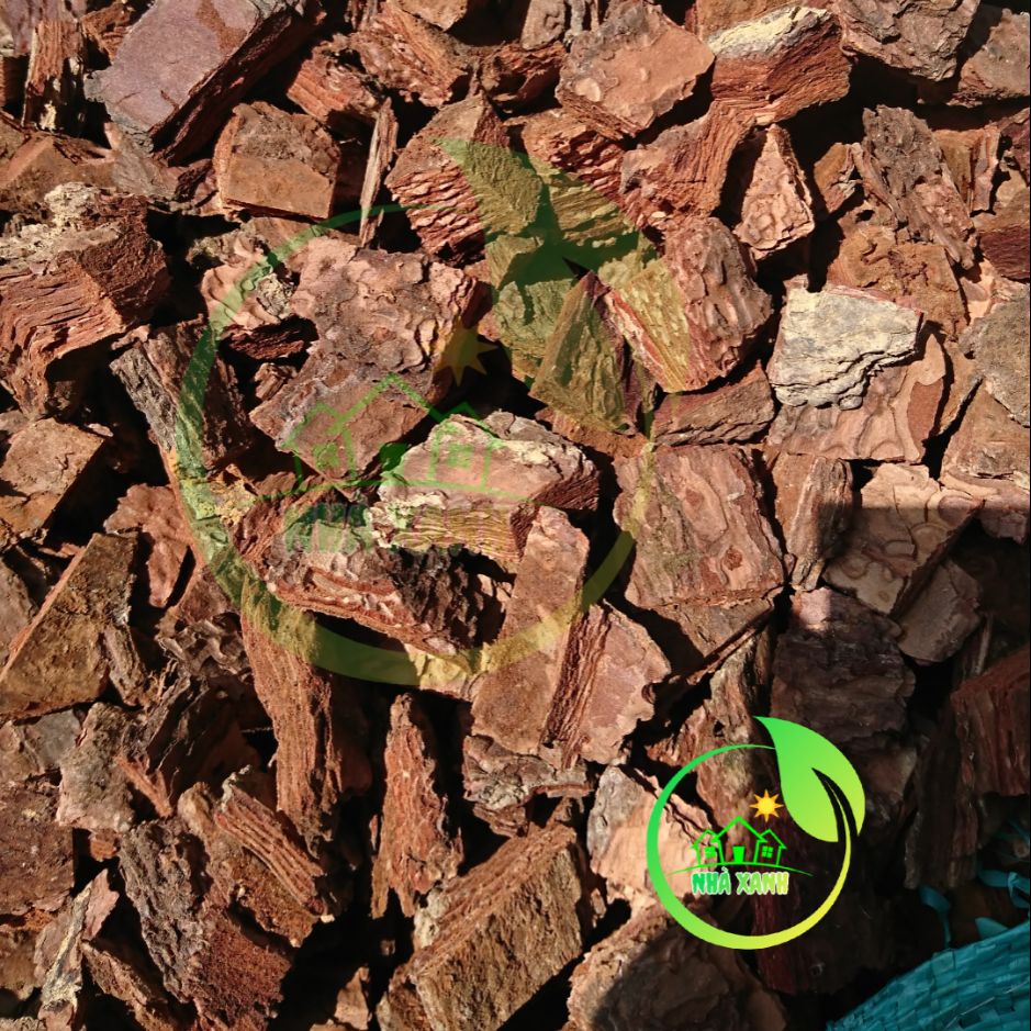 Combo 10kg vỏ thông trồng lan 1x2cm