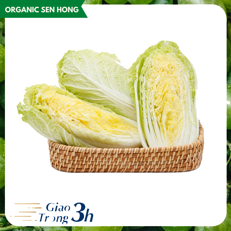 Cải thảo Sen Hồng (0,9-1,2kg)