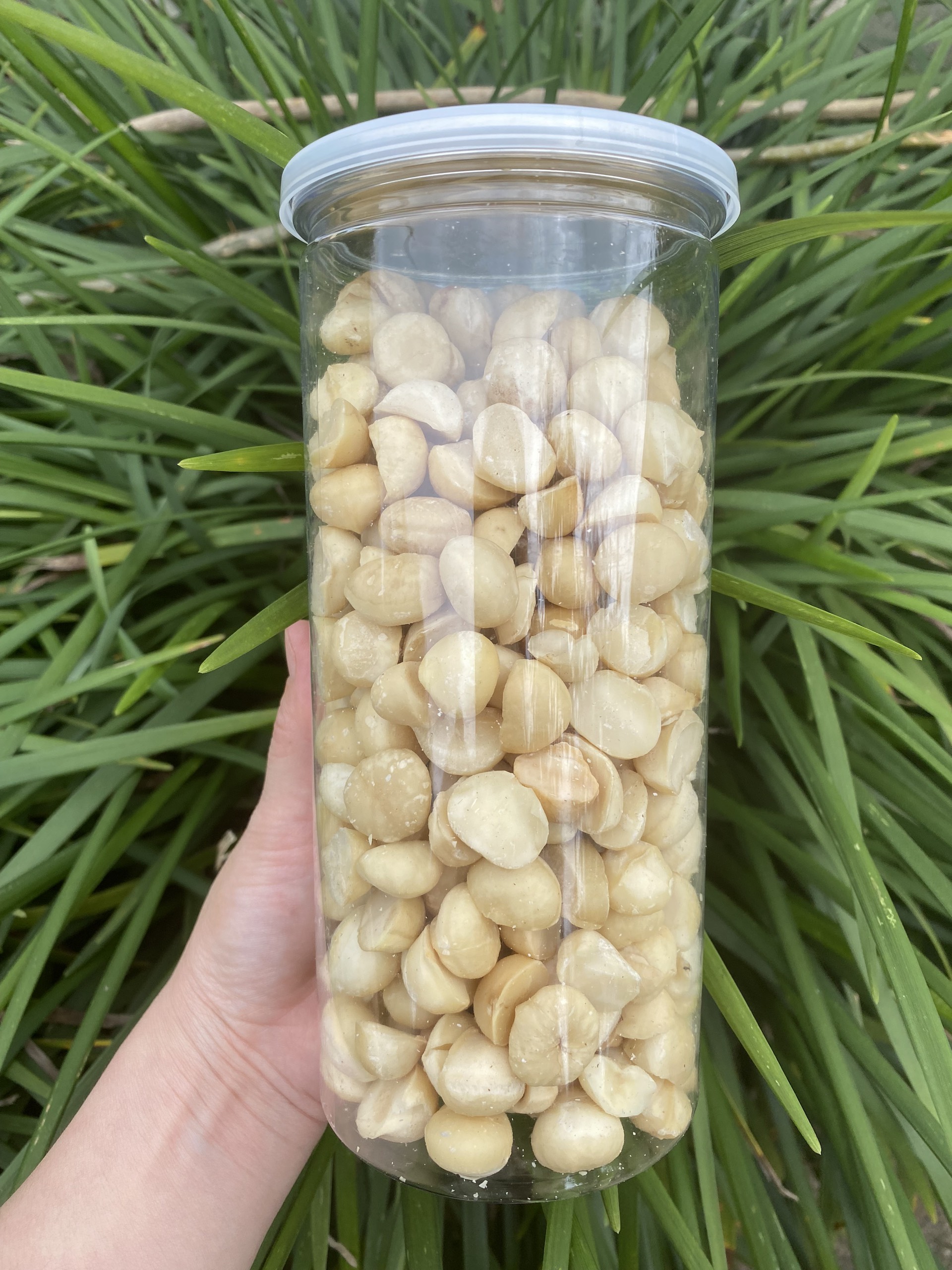 Macca nhà tự trồng tự sấy tách vỏ loại bể đôi gói 500g | Macca Di Linh Lâm Đồng | Hạt Macca dinh dưỡng, nữ hoàng trong các loại hat