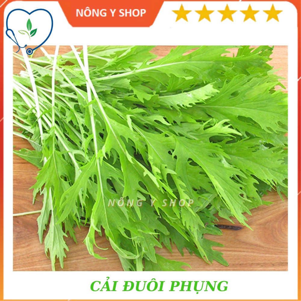 Gói 20g - túi zip 2g - hạt giống cải bẹ xanh ngọt đuôi phụng rạng đông rado 133