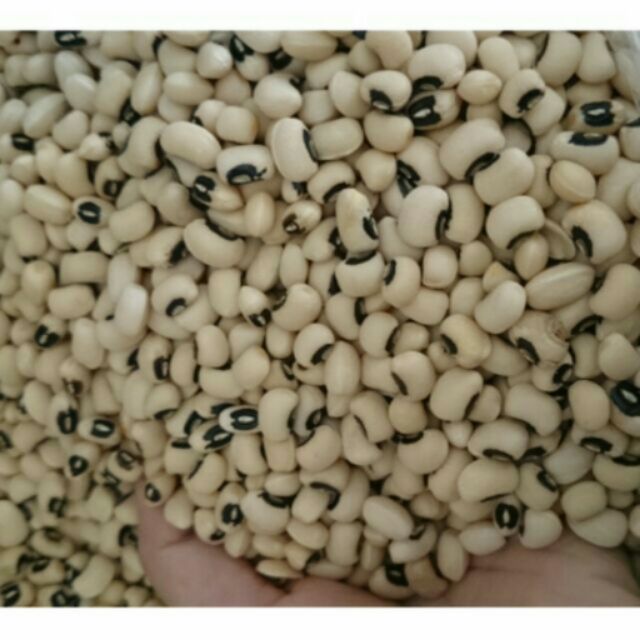 1kg đậu trắng mắt cua quê hạt nhỏ Canh tác sạch