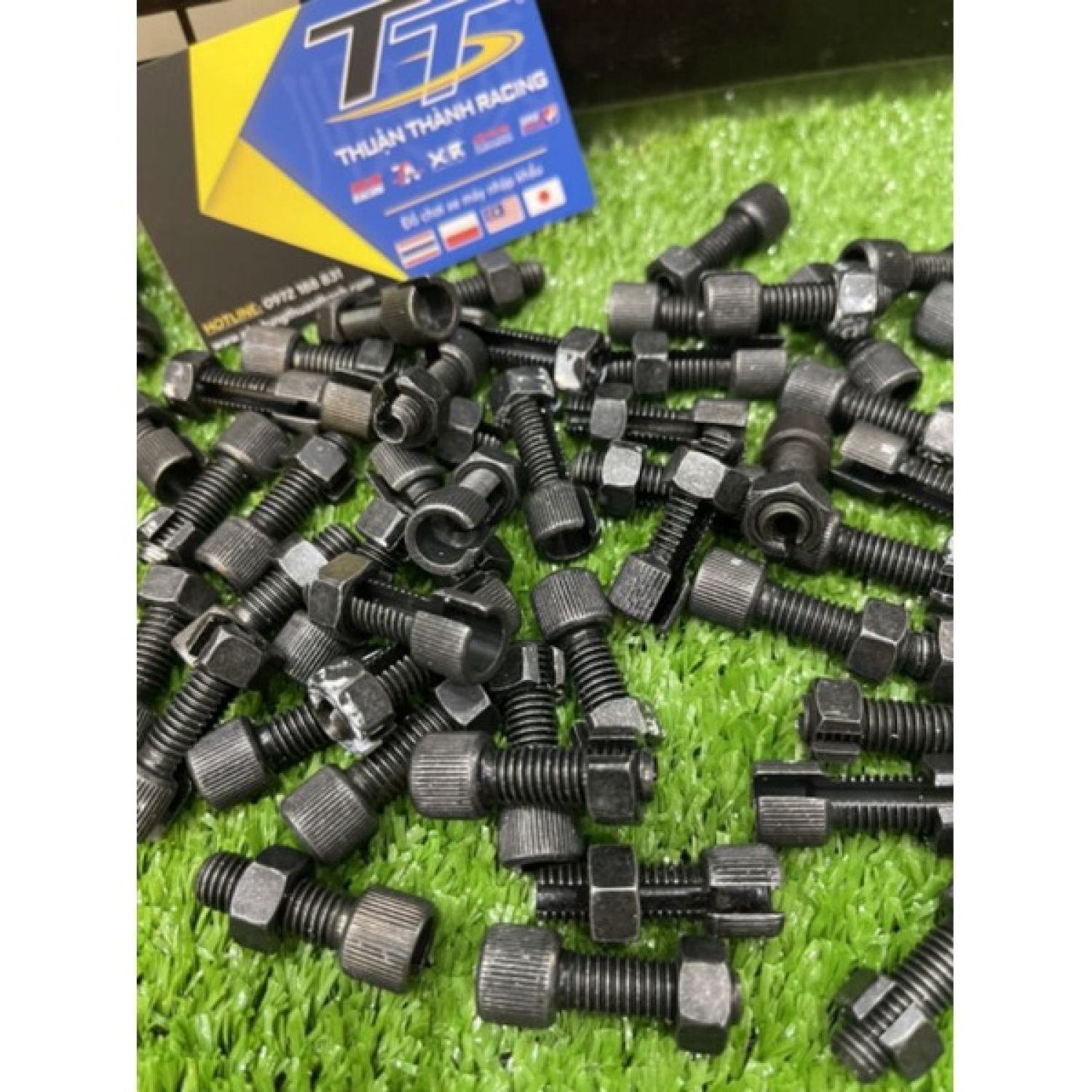 Ốc tăng đưa ampida yaz zin