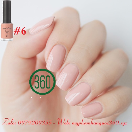 [New] Sơn móng tay Innisfree Green Nail #6 - màu 6 (6ml)